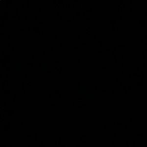 Meet your Posher, Alisha